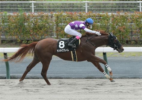 【勝羽の土曜競馬コラム・大阪スポーツ杯】 日刊ゲンダイ競馬