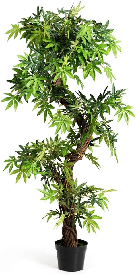 Amazon De Kazeila K Nstlicher Drachenbaum Artificial Plants Cm