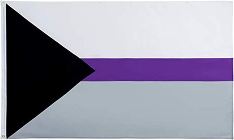 Flaglink Demisexual Pride Flag 3x5 Fts Lgbtqia