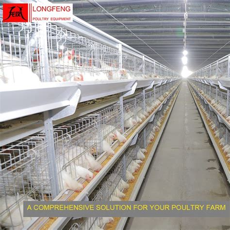 Farming Equipment Poultry Farm Broiler Chicken Cage For Laying Hens