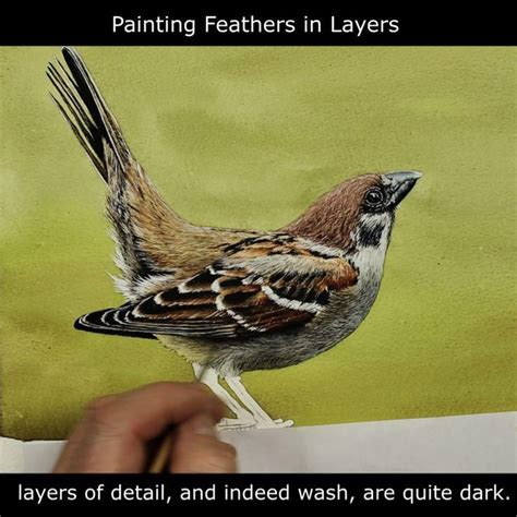 How To Paint Black Feathers Using Watercolor Free Video Lesson Artofit