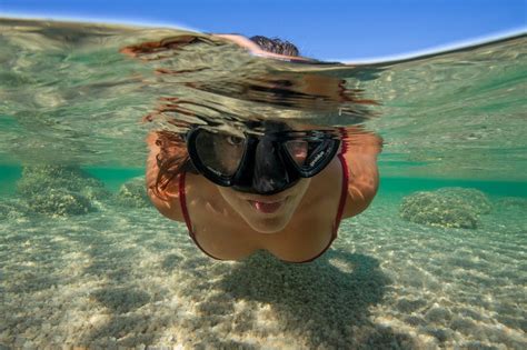 Por qué estudiar biologia marina Buceo ConCiencia