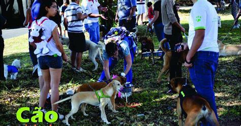 G1 Cãominhada Solidária será realizada neste sábado em Uberlândia