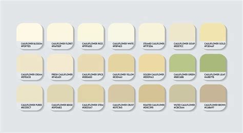 54 Cauliflower Color Palette Royalty Free Photos And Stock Images