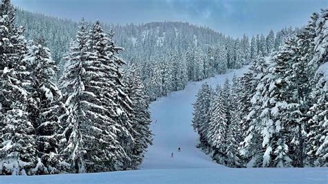 The Ultimate Guide To Skiing In Borovets What Meg Did Next