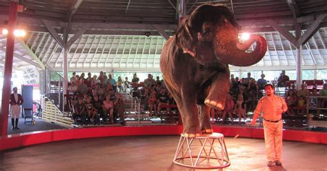 Local News and Archives from the Baraboo Republic 29