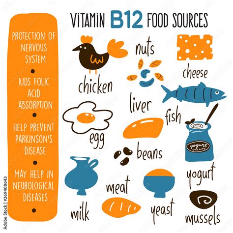 Vector cartoon illustration of VitaminB 12 sources and information ...