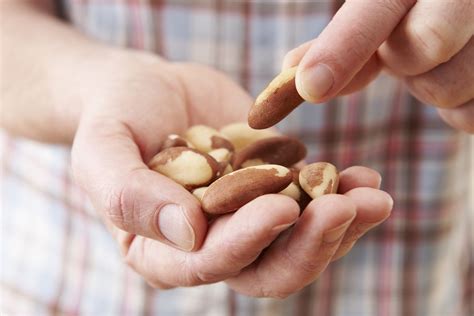 Brazil Nuts Benefits Of Selenium In Small Quantities