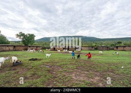 Traditional Kenyan Maasai Village With Mud And Clay Huts Stock Photo