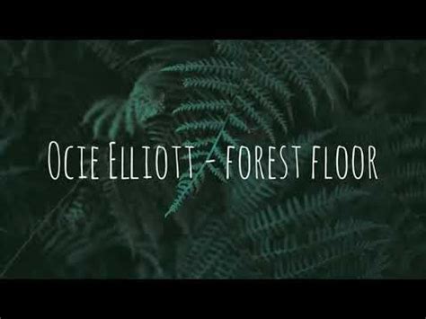 Wo Stille Wohnt Und Glanz Ocie Elliott Forest Floor