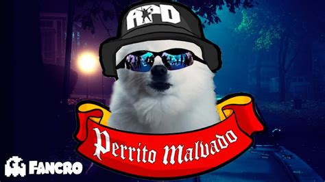 Perrito Malvado Versi N Perruna Youtube