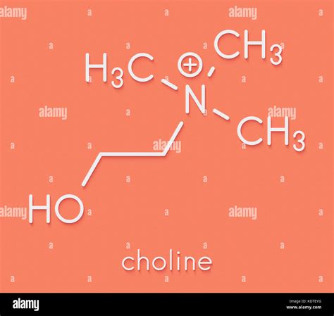 Choline Essential Nutrient Molecule Skeletal Formula Stock Photo Alamy