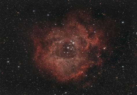 Rosette Nebula, Christmas Tree Cluster and Hydrogen Cloud Widefield : r ...