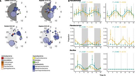 A Polar Plots Showing Times Of Peak Relative Abundance Of Significantly