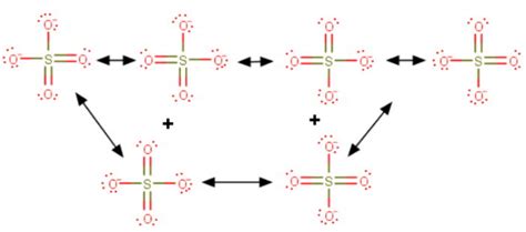 What is the average bond order in the sulfate ion? - CBSE Tuts