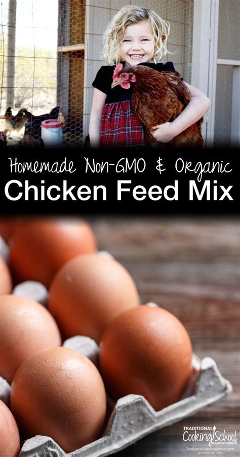 Homemade Non Gmo Organic Chicken Feed Mix Recipe Organic Chicken