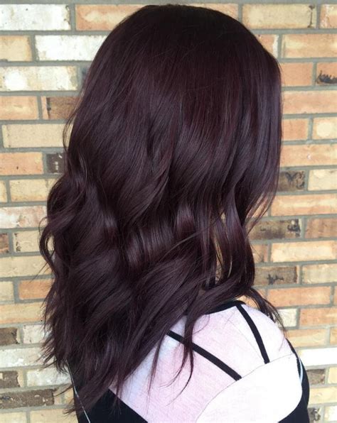 H20 Red Violet Permanent Hair Color The Salon Project Nyc