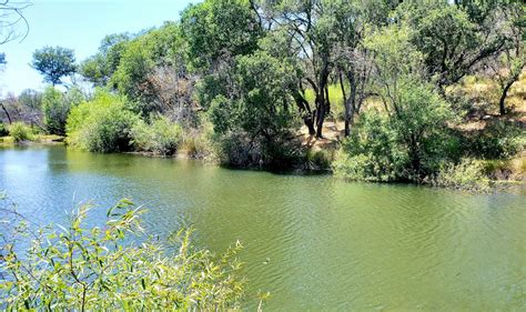 Best Hiking in Sonoma County | Vineyard Hikes with Views