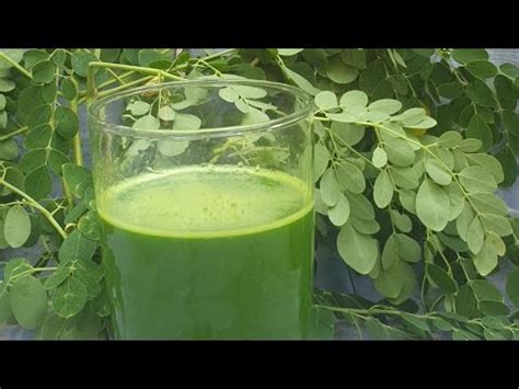 Healthy Moringa Juice Drumstick Leaves Weight Loss Youtube