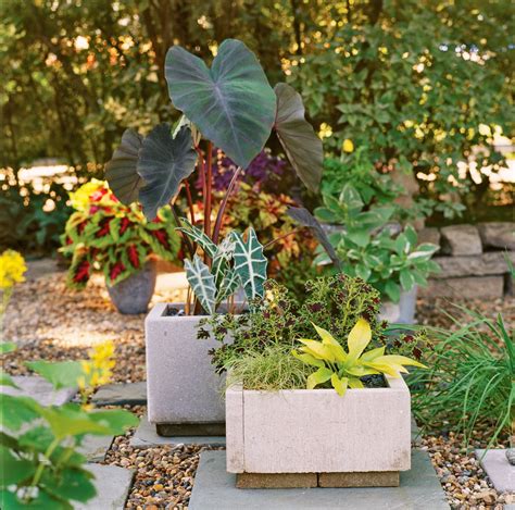 Easy 4 Step Diy Paver Planter Box