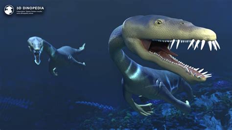 Нотозавры плезиозавры и загадка длинной шеи 3D Dinopedia