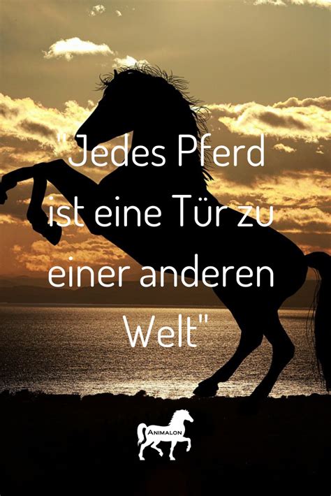 Unsere Heutige Quote F R Euch Jedes Pferd Ist Eine T R Zu Einer