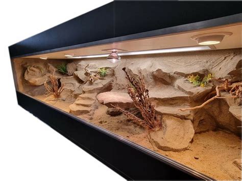 Pin By Sean Mccafferty On Bearded Dragon Enclosure In Lizard