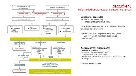 Actualización Guias Care Ada 2024 Agd Pptx