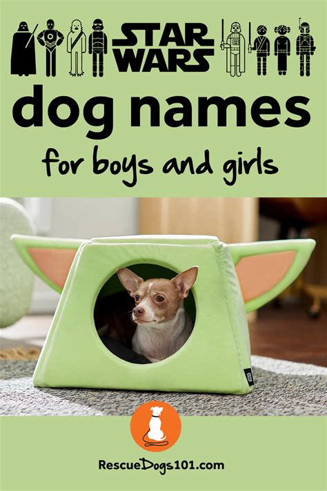 Creative Star Wars dog names for boys and girls