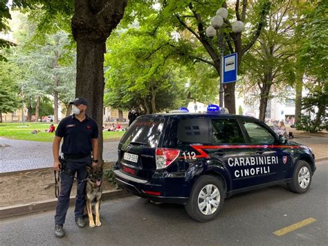 Drei mutmaßliche Drogendealer angezeigt Südtirol News