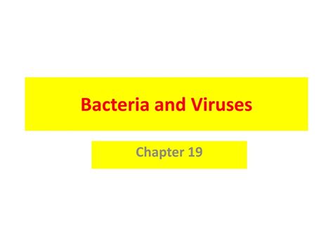 Ppt Bacteria And Viruses Powerpoint Presentation Free Download Id9085380