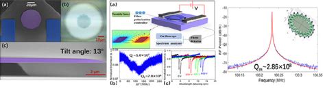 Lithium Niobate Photonics