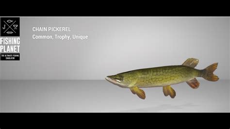 Fishing Planet Emerald Lake Unique Chain Pickerel Spin YouTube