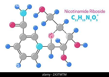 Vitamin B3 Nicotinamide Riboside Molecular Structure Vitamin B3 Niacin