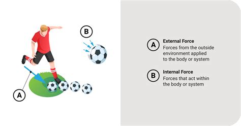 What Is External And Internal Force Mechanics WeTheStudy