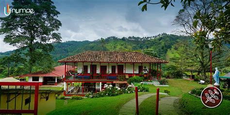 Turismo En El Eje Cafetero Vive Una Experiencia Que Te Encantar