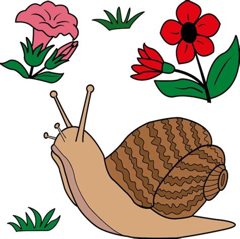 Caracol Do Vetor Dos Desenhos Animados Flores E Grama Verde