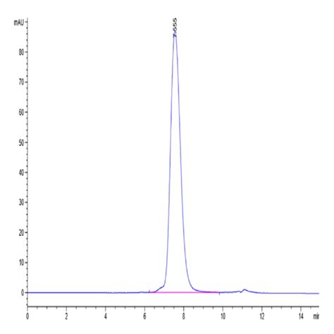 Human Micb Protein Mic Hm B Kactus Biosystems Ushelf