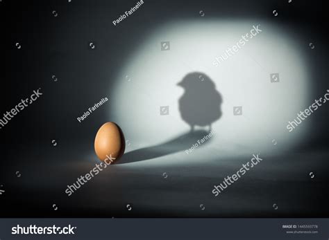 30 Paradox Chicken Egg Images, Stock Photos & Vectors | Shutterstock