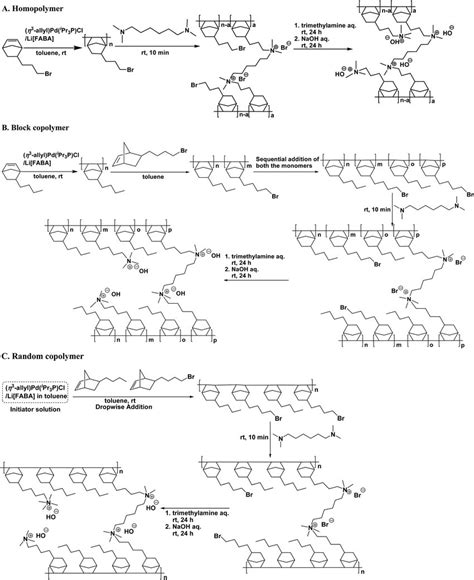 Scheme 1 Synthetic Schemes For Homopolymer A Block Copolymer B