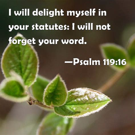 Psalm 11916 I Will Delight Myself In Your Statutes I Will Not Forget