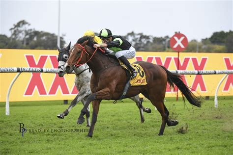 Stockman Lassoes Mckell Cup Proven Thoroughbreds