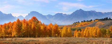 Your Guide To Fall In The Tetons Graham Faupel Mendenhall