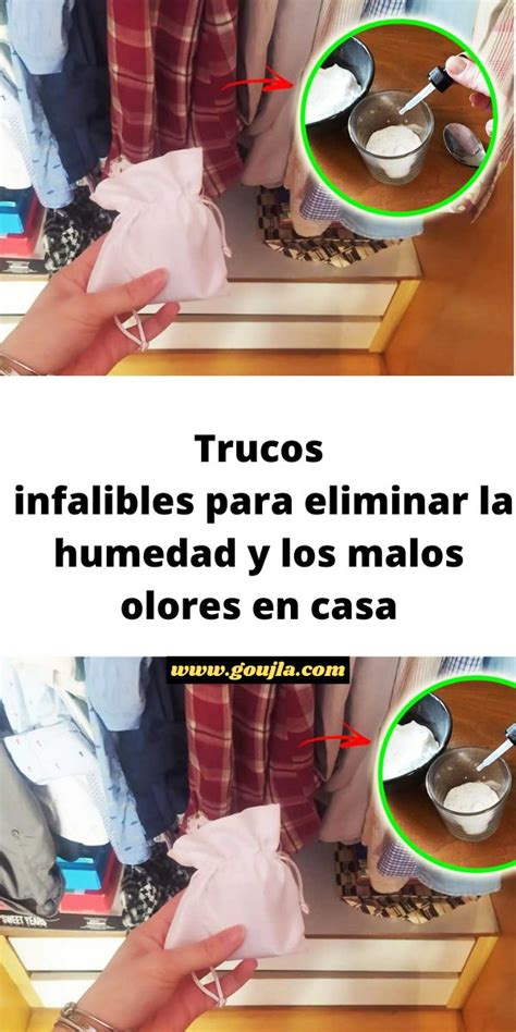 Trucos Infalibles Para Eliminar La Humedad Y Los Malos Olores En Casa Trucos Olor Malos