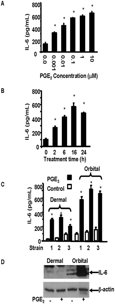 Confluent Orbital Cultures In This Case From A Patient With TAO Were