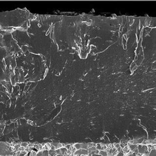 Sem Fracture Cross Section Images Of A Alcrn B Alcrsi N And C