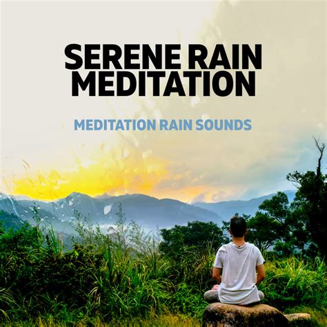 Serene Rain Meditation Album By Meditation Rain Sounds Spotify