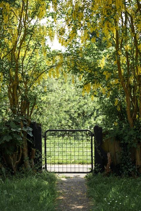 Gate To Nature Photos Download The Best Free Gate To Nature Stock