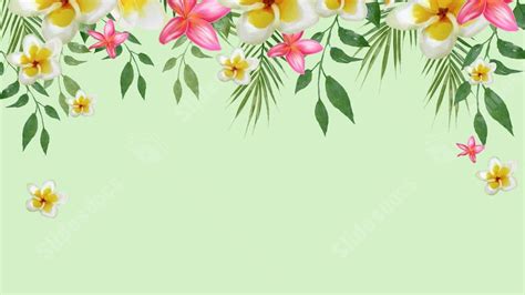 Beautiful White Plumeria Rubra Flowers Flower Nature Powerpoint ...