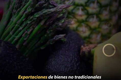 Exportaciones De Bienes No Tradicionales Crecen 7 2 Al Primer